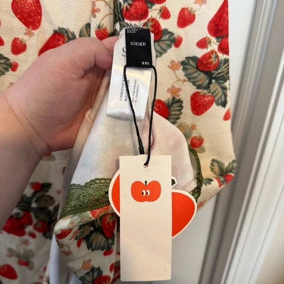 Cider Cream Dress with Red and Green Floral Design - Picture 4 of 7